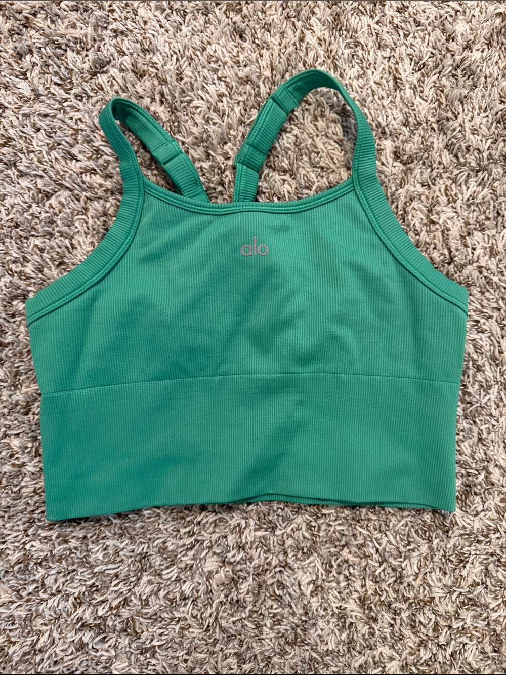 ALO Yoga Seamless Ribbed Favorite Bra Tank